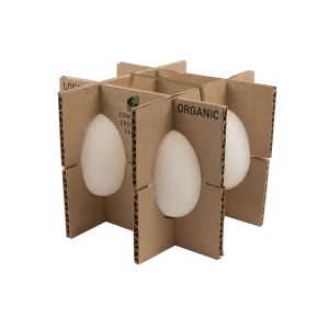 innovative-eggs-packaging